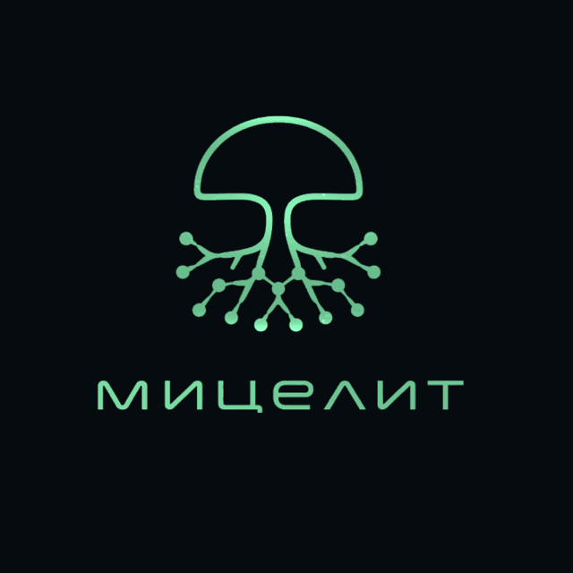 Мицелит